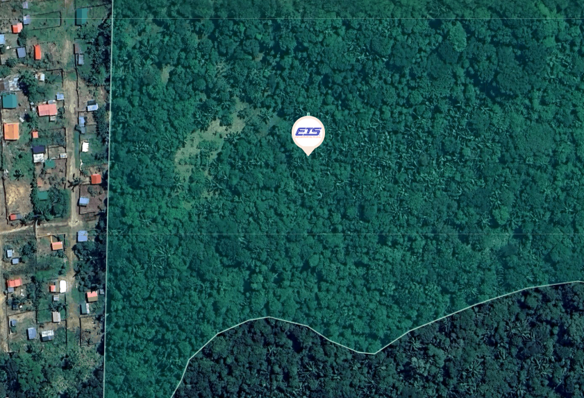 Riforestazione con zeroCO2